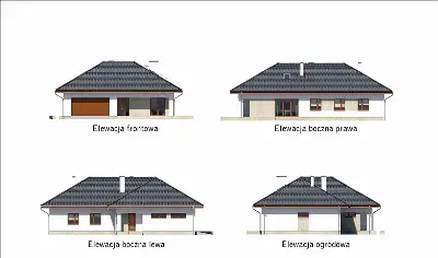 Biały bór — elewacje 1 (odbicie lustrzane)
