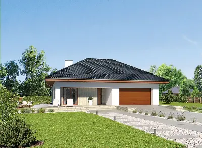 Biały bór — wizualizacje 1