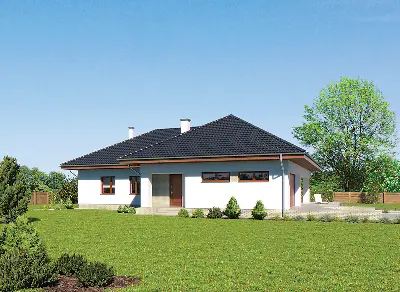 Biały bór — wizualizacje 3 (odbicie lustrzane)
