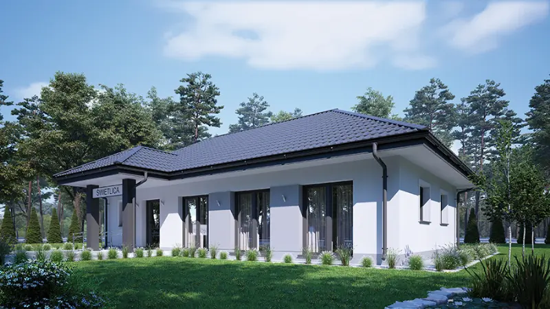 Projekt domu Budynek usługowy UC67d — wizualizacja