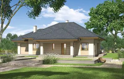 Bukowy las — wizualizacje 1 (odbicie lustrzane)