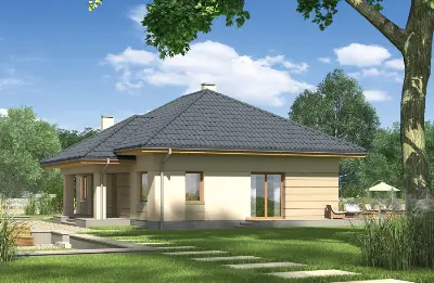 Bukowy las — wizualizacje 2 (odbicie lustrzane)