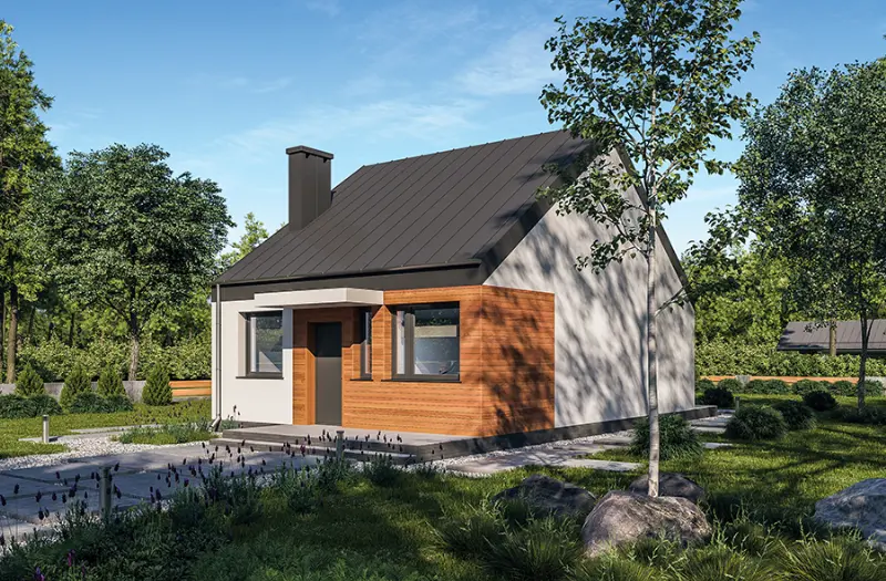 Projekt domu Miarodajny - wariant XXI — wizualizacja