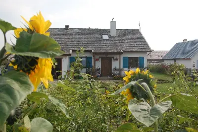 Modrzewiowy — realizacje 5