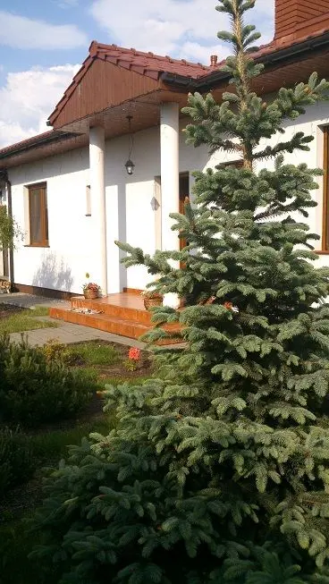 Słoneczny z garażem — realizacje 5