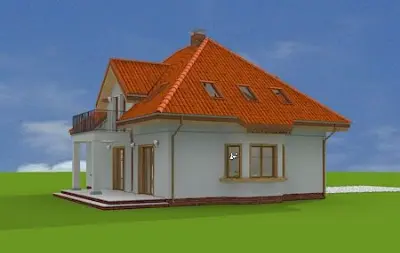 Stokrotka — zdjęcia 6