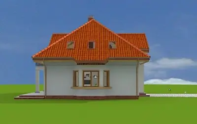 Stokrotka — zdjęcia 7