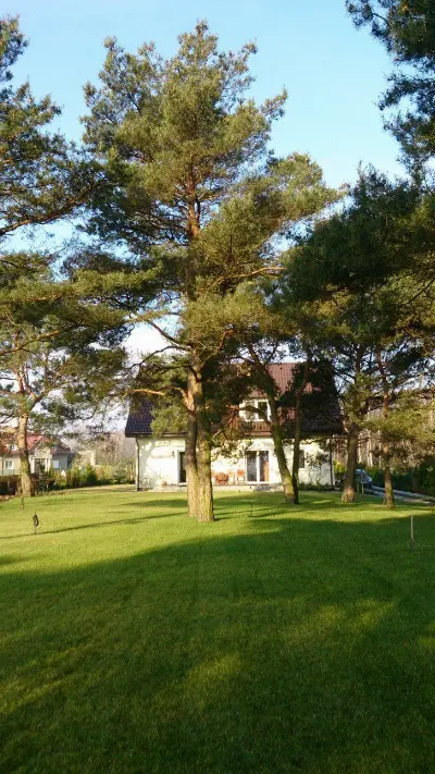 Zalesie — realizacje 2